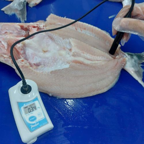 PAL-SALT-PROBE